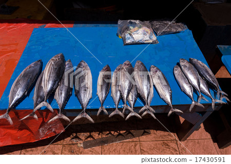 fresh fish on traditional market fresh fish on traditional market 17430591