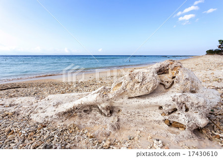 dream beach, Bali Indonesia, Nusa Penida island dream beach, Bali Indonesia, Nusa Penida island 17430610