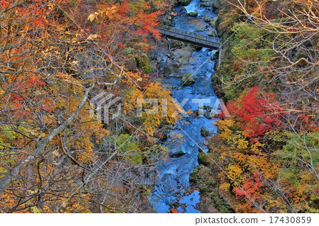 Naruko谷的秋葉 17430859
