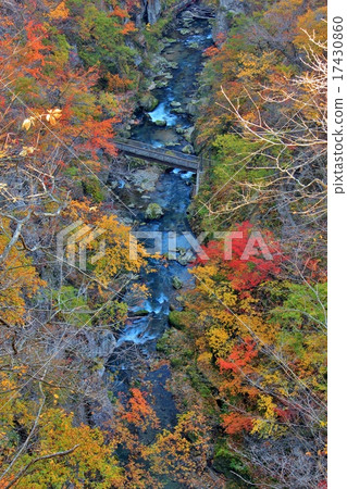 Naruko谷的秋葉 Naruko谷的秋葉 17430860