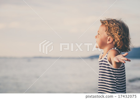 Portrait of little boy standing on the beach 17432075