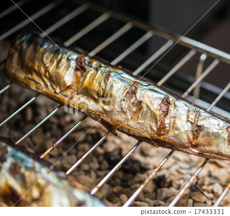 Pearl Pearl 17433331