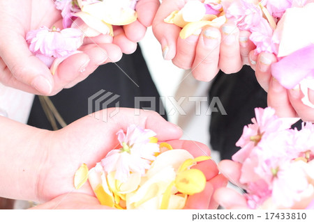 婚禮風光 婚禮風光 17433810