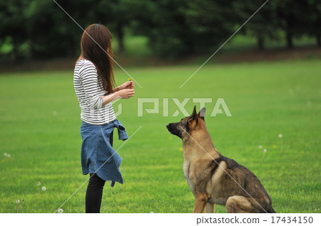 和我最喜歡的人 17434150