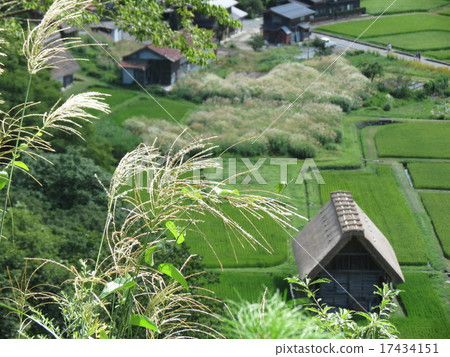 Susuki和建築與建築 17434151
