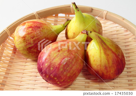 figs  17435030