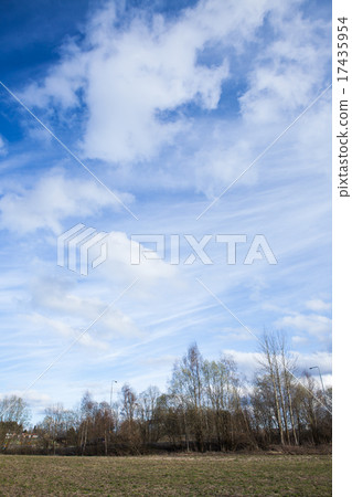 Long cirrus clouds skyscape Long cirrus clouds skyscape 17435954