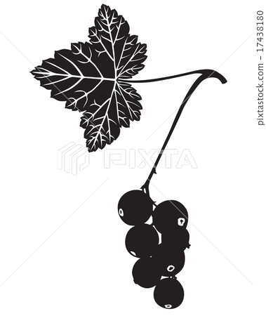 Currant silhouette 17438180