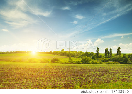 Beautiful sunset on green field 17438920