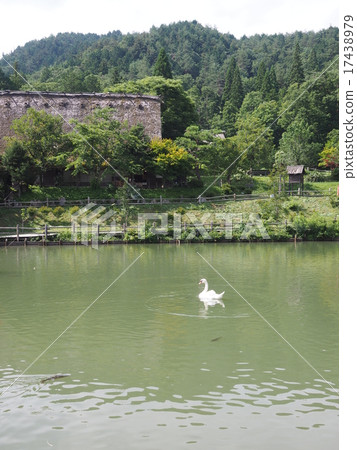 休息與老池塘的天鵝和老房子翼在Hida高山市 休息與老池塘的天鵝和老房子翼在Hida高山市 17438979