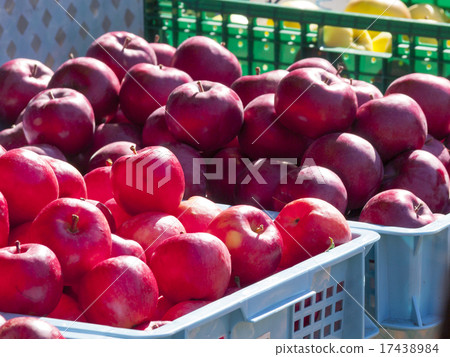 Apple stalls (2 types) 17438984