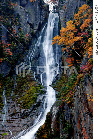 The autumn leaves of the galaxy waterfall 02 17441007