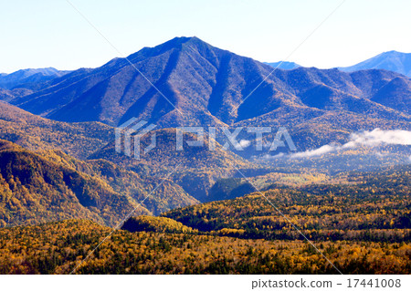 Autumn leaves of heavy snow Autumn leaves of heavy snow 17441008