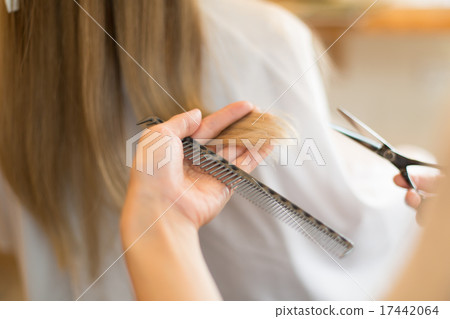 頭髮 髪 專業 17442064