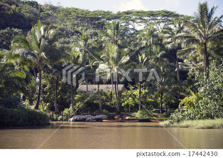 Wailia River, Kauai, Hawaii - 2 17442430