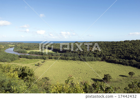 Wailia河，考艾島，夏威夷 -  3 17442432