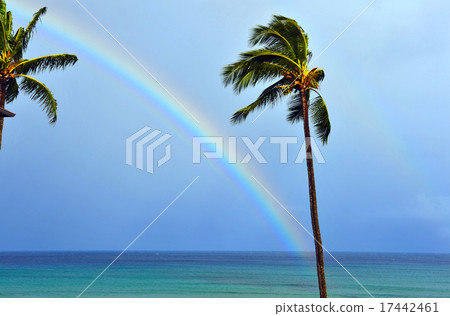 Double rainbow hanging over the sea of Maui, Hawaii Double rainbow hanging over the sea of Maui, Hawaii 17442461