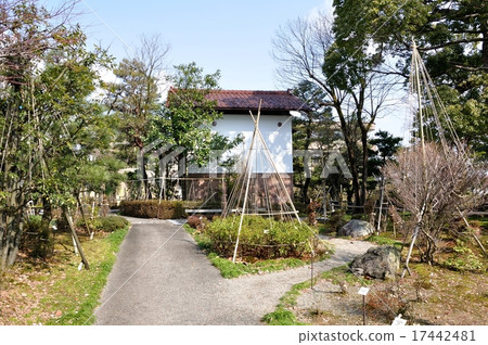 金澤市Hikozu綠點杜鵑花博物館和冬天的準備 17442481