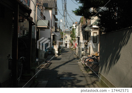 市中心 市中心 17442571