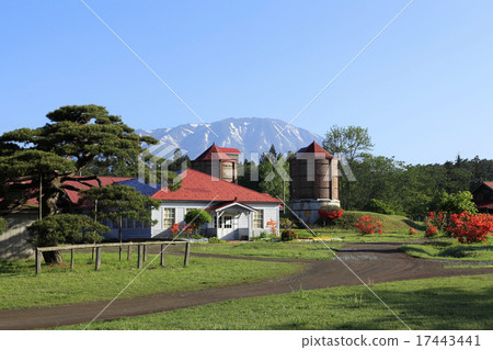 Koiwai Farm Koiwai Farm 17443441