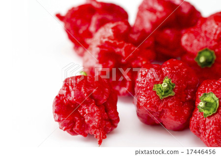 Guinness Certified Pepper Carolina Reaper 17446456