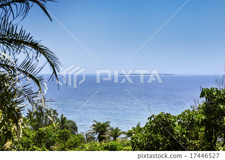 Okinawa Prefecture Ryugimiya castle Butterfly garden overlooks Mizushima Island 17446527