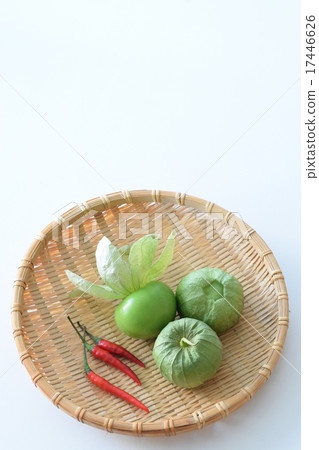 與Tomatillo和紅辣椒的墨西哥菜 17446626