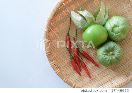Mexican cuisine with Tomatillo and red pepper Mexican cuisine with Tomatillo and red pepper 17446633