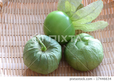 Mexican cuisine with Tomatillo and red pepper Mexican cuisine with Tomatillo and red pepper 17446634