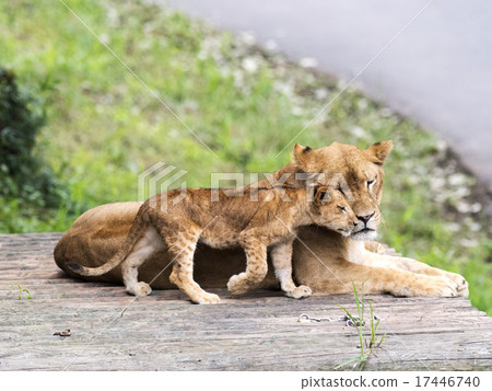 To take with mom To take with mom 17446740