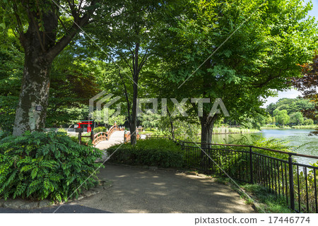 Shimosuke Park Shimosuke Park 17446774
