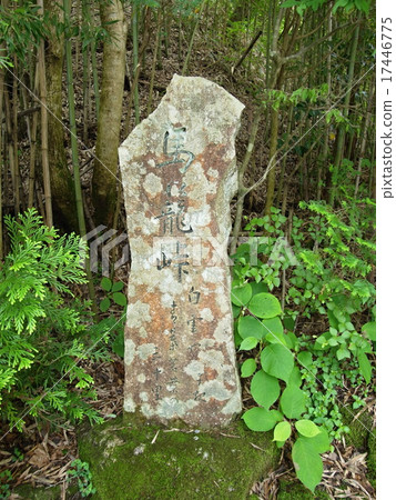 Magome Pass 17446775