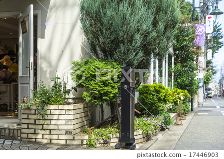 自由之丘的街角 17446903