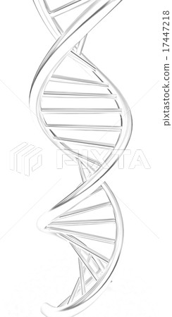 DNA structure model DNA structure model 17447218