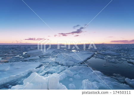 Morning glow of drift ice 17450311