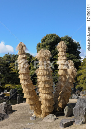 二條城也在冬季滾動 17450434