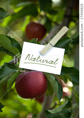 natural, ill, fresh 17450929