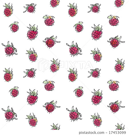 Raspberry seamless pattern.  17453099