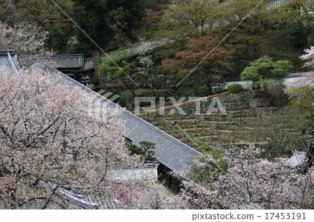 Nara Hase-dera Era 17453191