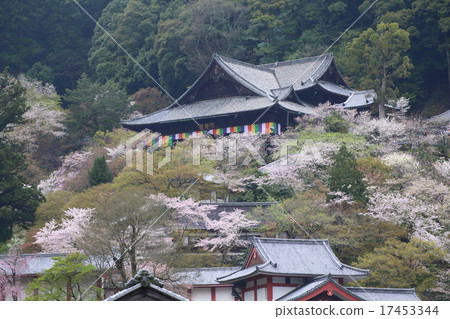 奈良春天的Hasedera寺 奈良春天的Hasedera寺 17453344
