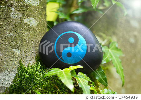 The Yin & Yang Sign on a stone in nature  17454939