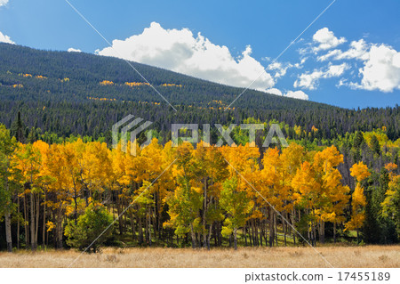 Colorado Mountain Fall Landscape 17455189