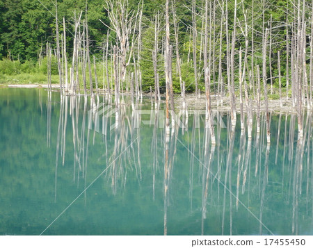 北海道·白金溫泉“Blue Pond” 17455450