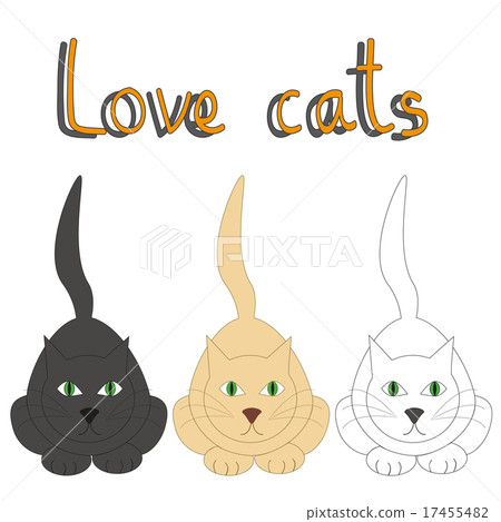Vector card with three cats and text 17455482