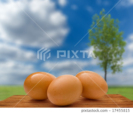 Three whole eggs 17455815