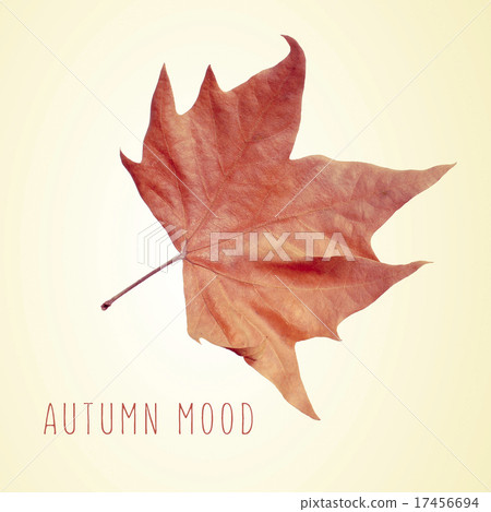 dry leaf and the text autumn mood dry leaf and the text autumn mood 17456694