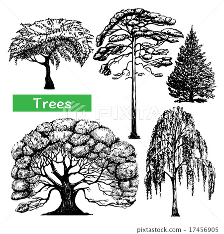 Trees hand drawn black icons set Trees hand drawn black icons set 17456905