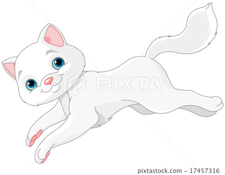 White Kitten White Kitten 17457316
