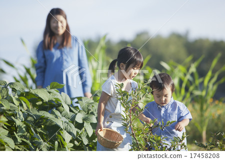 Family gardening 17458208
