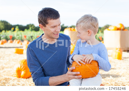 pumpkin patch 17458246